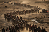 Миграционные процессы