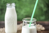 Технология молока и молочных продуктов