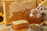 Кормовой баланс и продукты пчеловодства