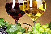 Основы виноделия